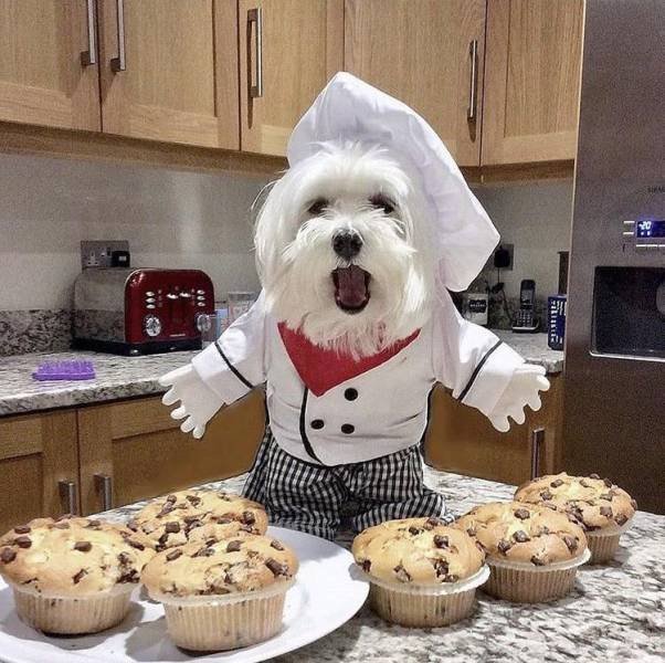 Acid Picdump. Part 1 (95 pics)
