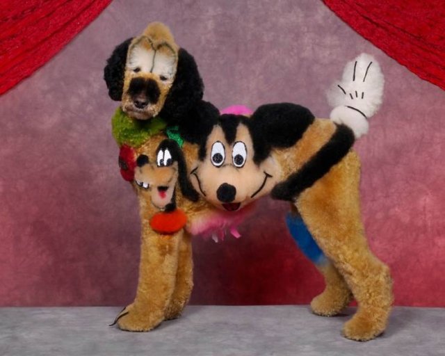 Acid Picdump. Part 1 (95 pics)