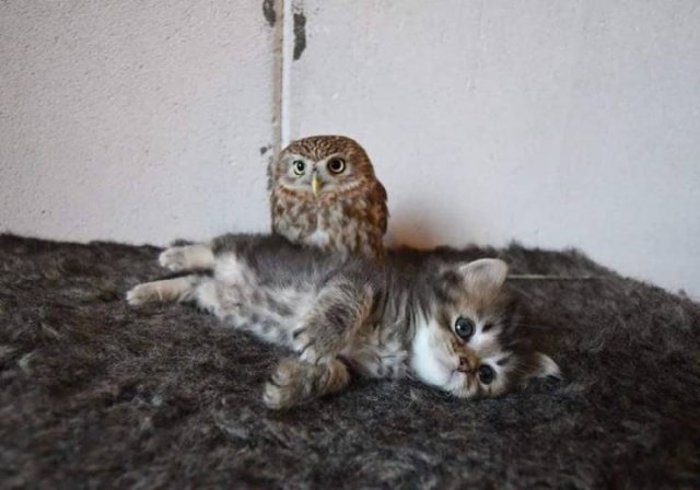 Acid Picdump. Part 1 (95 pics)