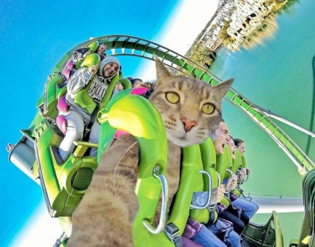 Acid Picdump. Part 1 (95 pics)