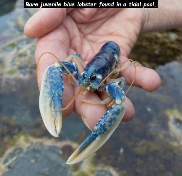 Acid Picdump. Part 1 (95 pics)