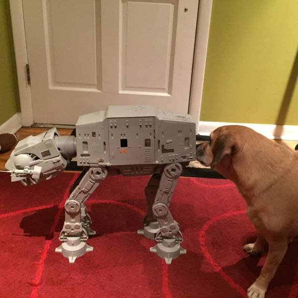 Acid Picdump. Part 1 (95 pics)