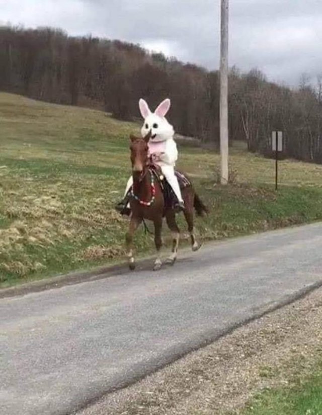Acid Picdump. Part 1 (95 pics)