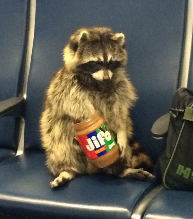Acid Picdump. Part 1 (95 pics)