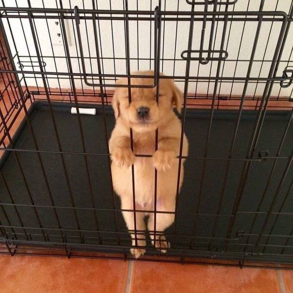 Acid Picdump. Part 1 (95 pics)