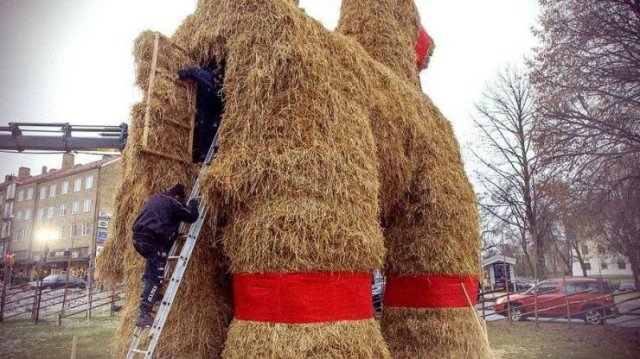 Acid Picdump. Part 1 (95 pics)