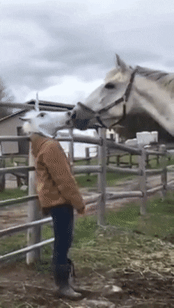 Acid Gifdump, April 13 (25 gifs)