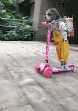 Acid Gifdump, April 13 (25 gifs)