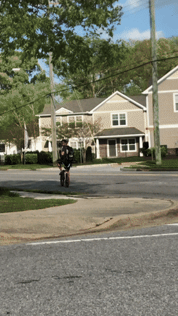 Acid Gifdump, April 13 (25 gifs)