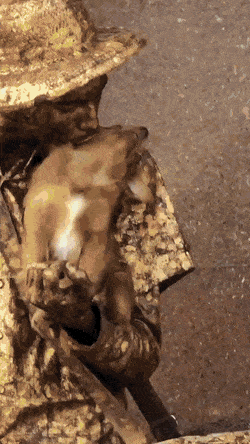 Acid Gifdump, April 13 (25 gifs)
