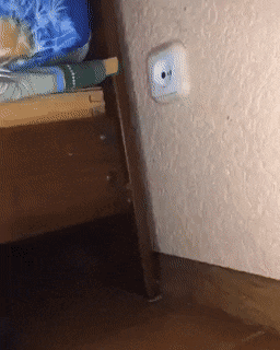 Acid Gifdump, April 13 (25 gifs)