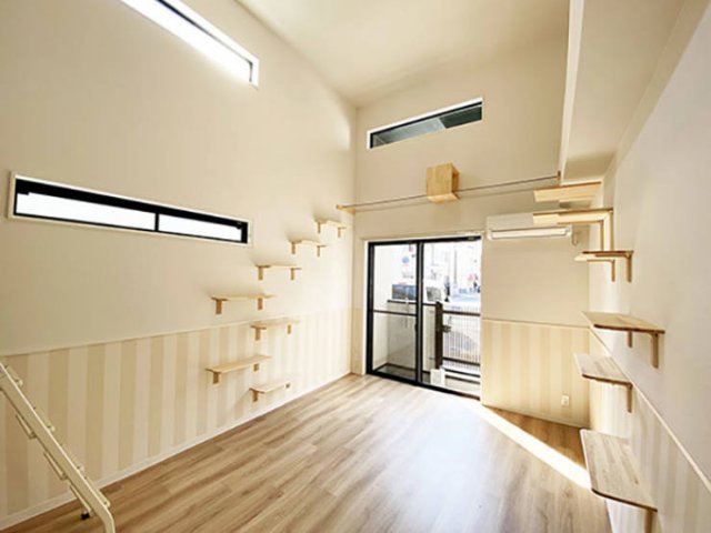 Japanese Apartments For Human And His Cat (16 pics)