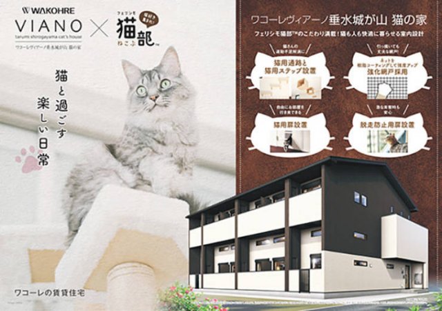 Japanese Apartments For Human And His Cat (16 pics)