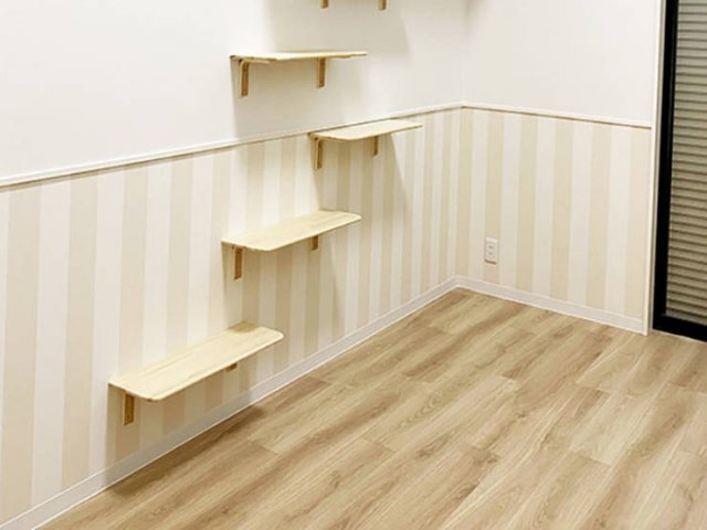 Japanese Apartments For Human And His Cat (16 pics)