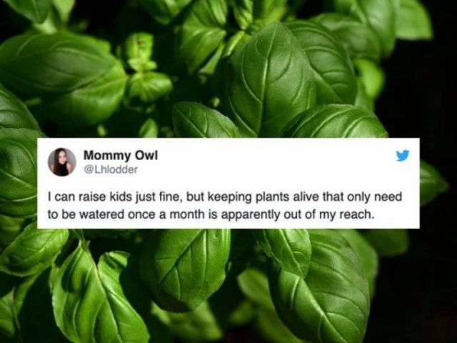 Parenting Tweets (19 pics)