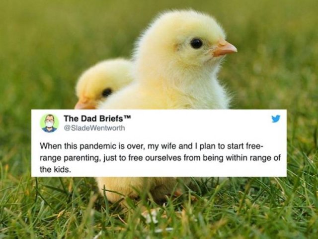 Parenting Tweets (19 pics)