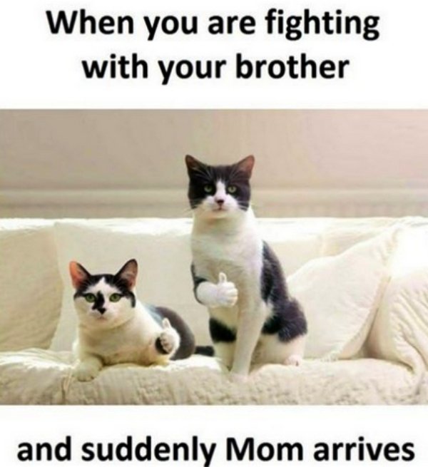 Sibling Memes (38 pics)