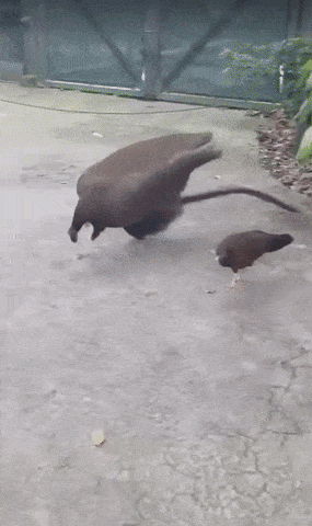Acid Gifdump, April 14 (25 gifs)
