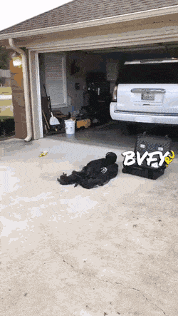 Acid Gifdump, April 14 (25 gifs)