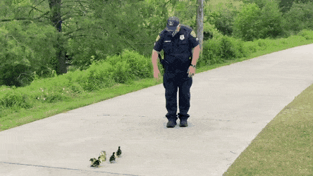 Acid Gifdump, April 14 (25 gifs)