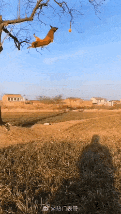 Acid Gifdump, April 14 (25 gifs)