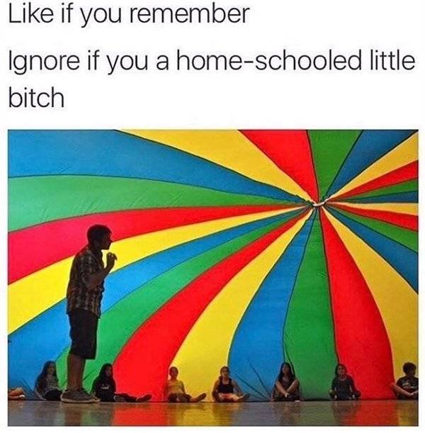 Random Funny Memes (52 pics)