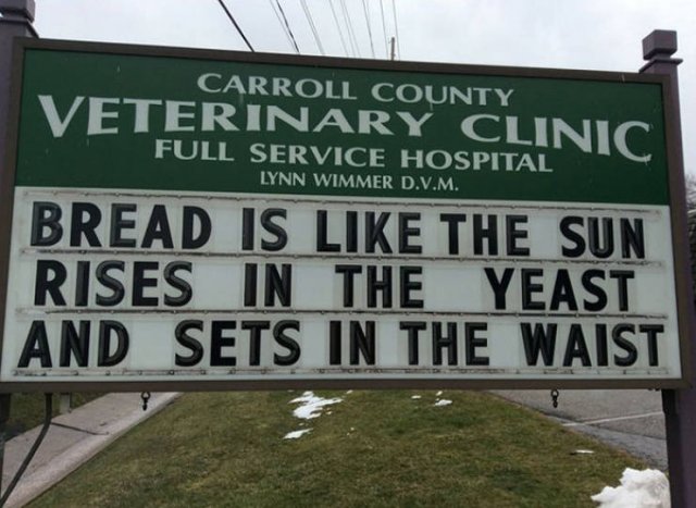 Vet Clinic Jokes (30 pics)