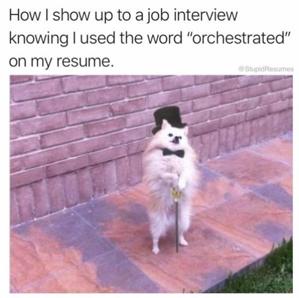 Random Funny Memes (52 pics)