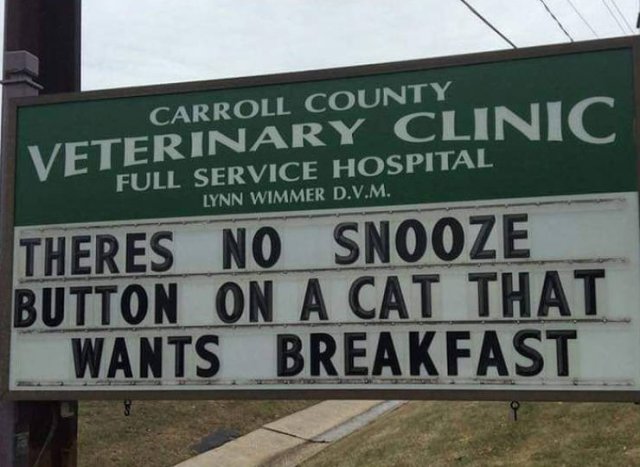 Vet Clinic Jokes (30 pics)