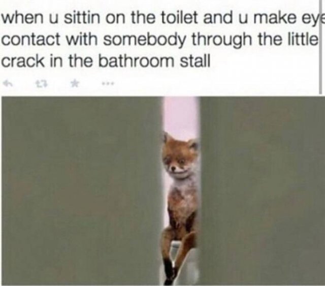 Random Funny Memes (52 pics)