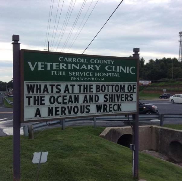 Vet Clinic Jokes (30 pics)