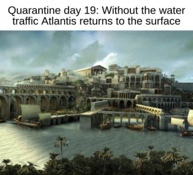 Random Funny Memes (52 pics)