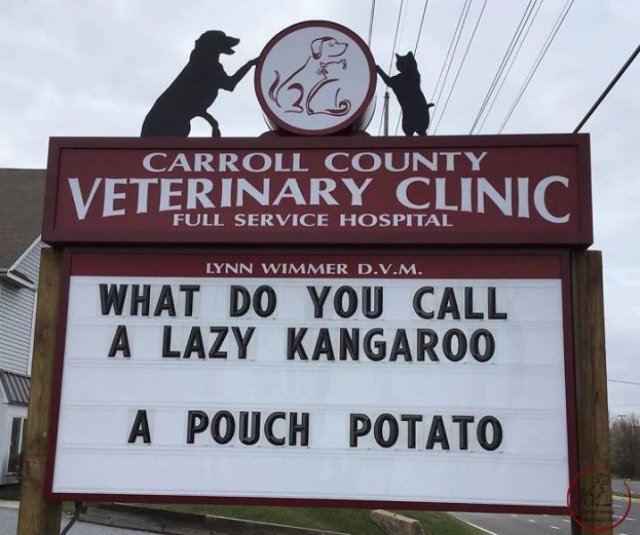 Vet Clinic Jokes (30 pics)