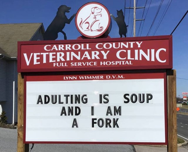 Vet Clinic Jokes (30 pics)