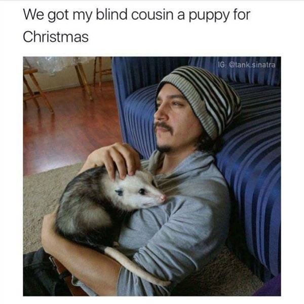 Random Funny Memes (52 pics)