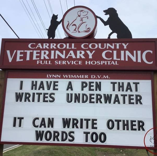 Vet Clinic Jokes (30 pics)