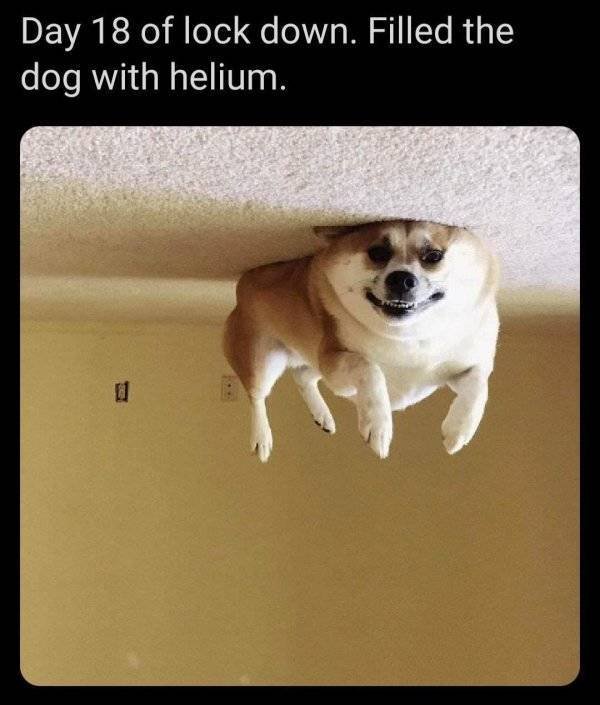 Random Funny Memes (52 pics)