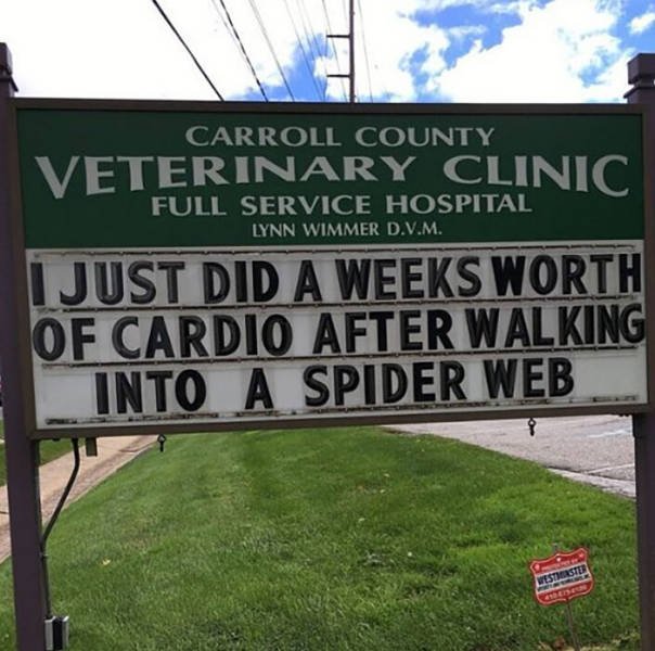 Vet Clinic Jokes (30 pics)