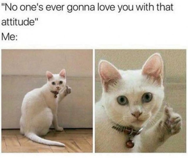 Random Funny Memes (52 pics)