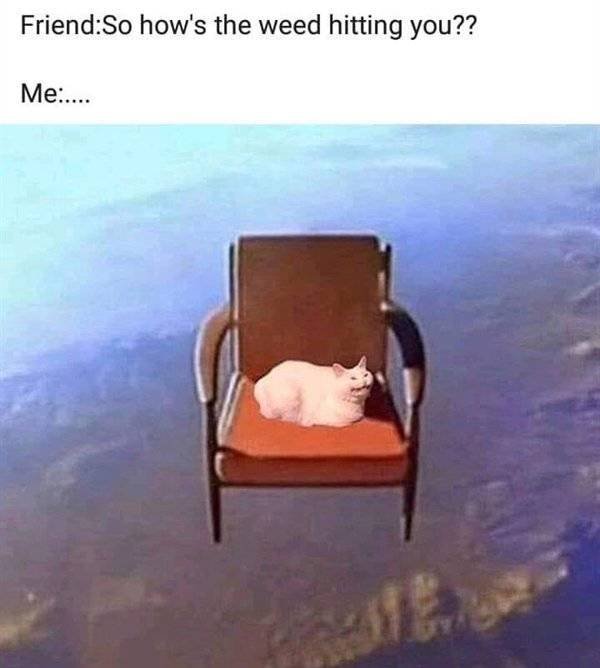 Random Funny Memes (52 pics)