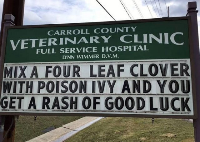 Vet Clinic Jokes (30 pics)