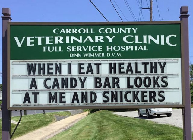 Vet Clinic Jokes (30 pics)