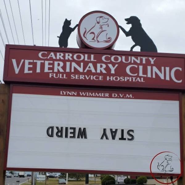 Vet Clinic Jokes (30 pics)