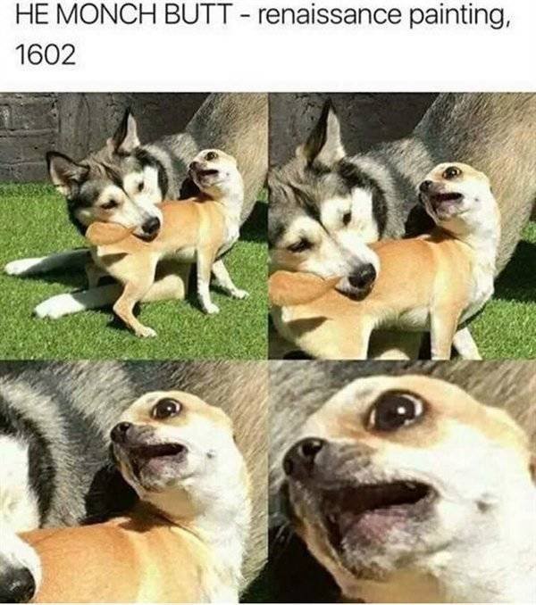 Random Funny Memes (52 pics)
