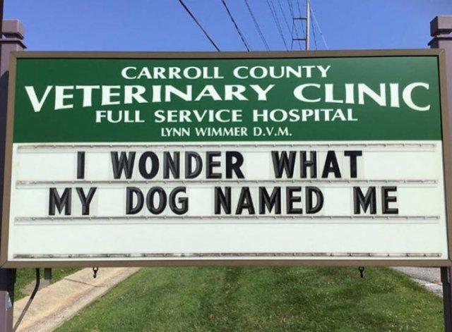 Vet Clinic Jokes (30 pics)