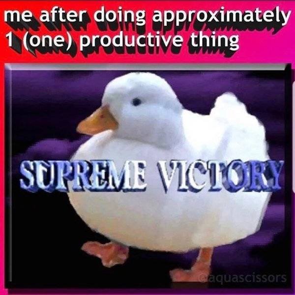 Random Funny Memes (52 pics)