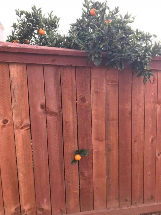 Acid Picdump. Part 1 (100 pics)