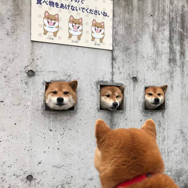 Acid Picdump. Part 1 (100 pics)