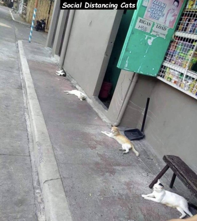 Acid Picdump. Part 1 (100 pics)