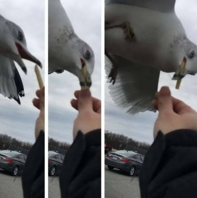 Acid Picdump. Part 1 (100 pics)
